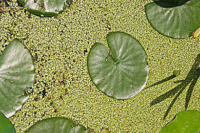 《黑道圣徒：重制版》首款DLC将于下周发售